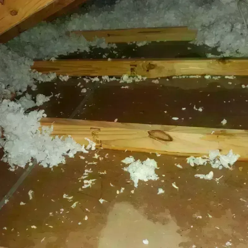 Attic Water Damage in Lacey, WA