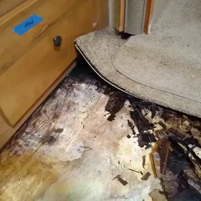 Wood Floor Water Damage in Lacey, WA